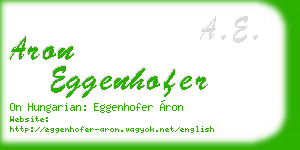 aron eggenhofer business card